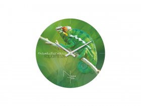 Часы настенные Nicole Time NT503 в Новом Шарапе - novyj-sharap.mebel-nsk.ru | фото
