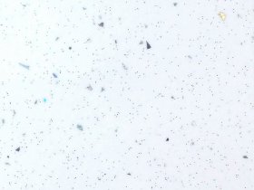 Мебельный щит 3000*600/6мм № 55гл белая в Новом Шарапе - novyj-sharap.mebel-nsk.ru | фото